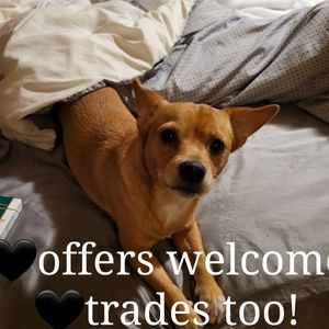 OFFERS & TRADES 😁